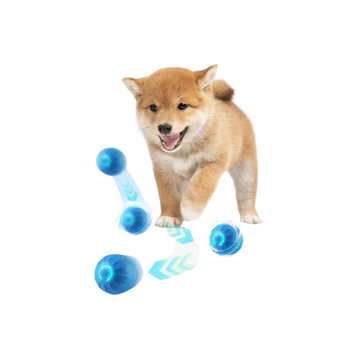 Pelota interactiva para perros
